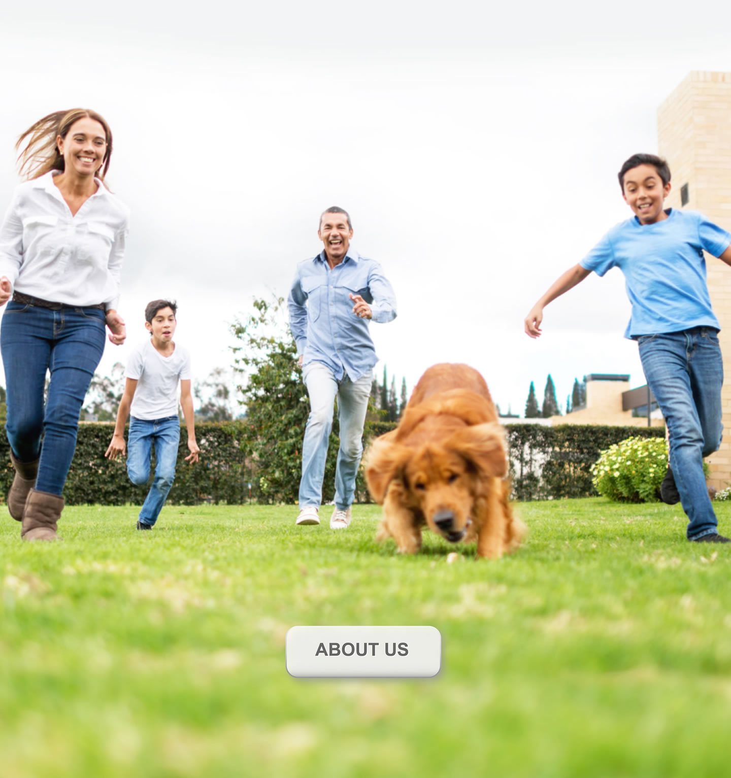 Dog & Cat Supplements